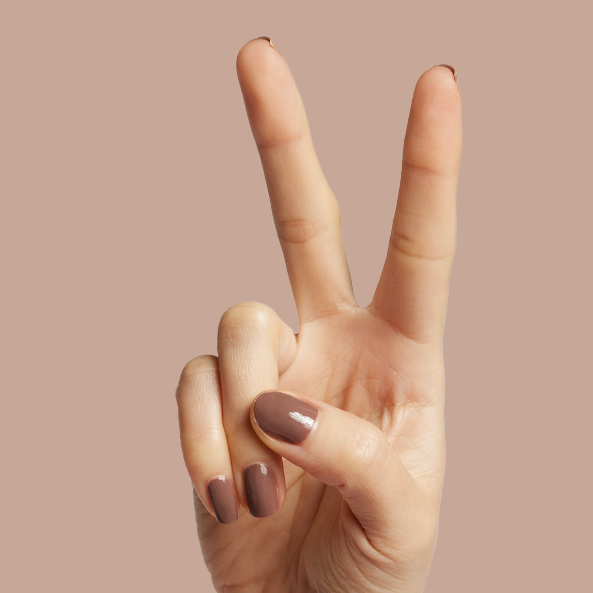 Fawn、mySite、solidvoid