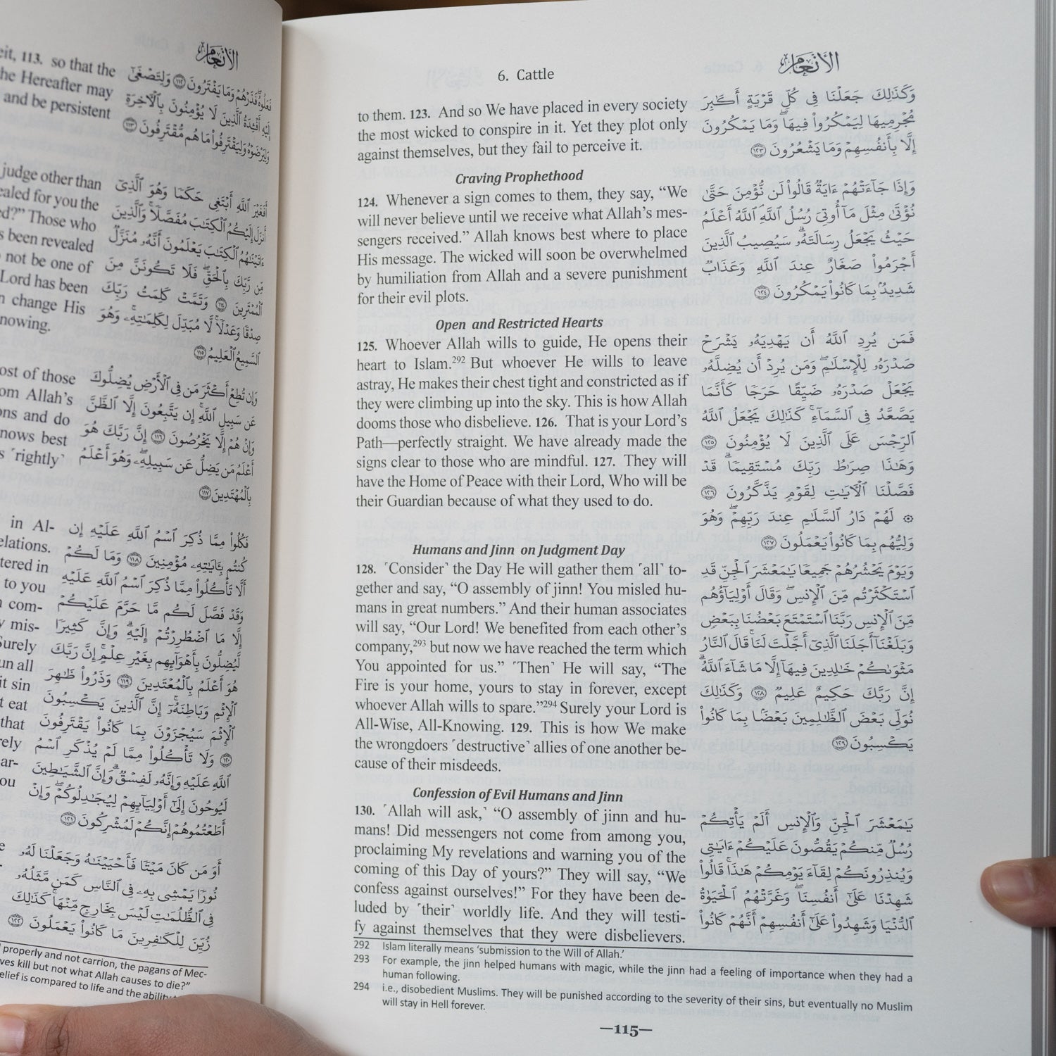 The Clear Quran (English with Arabic Text) Large Print、mySite、topwebapps
