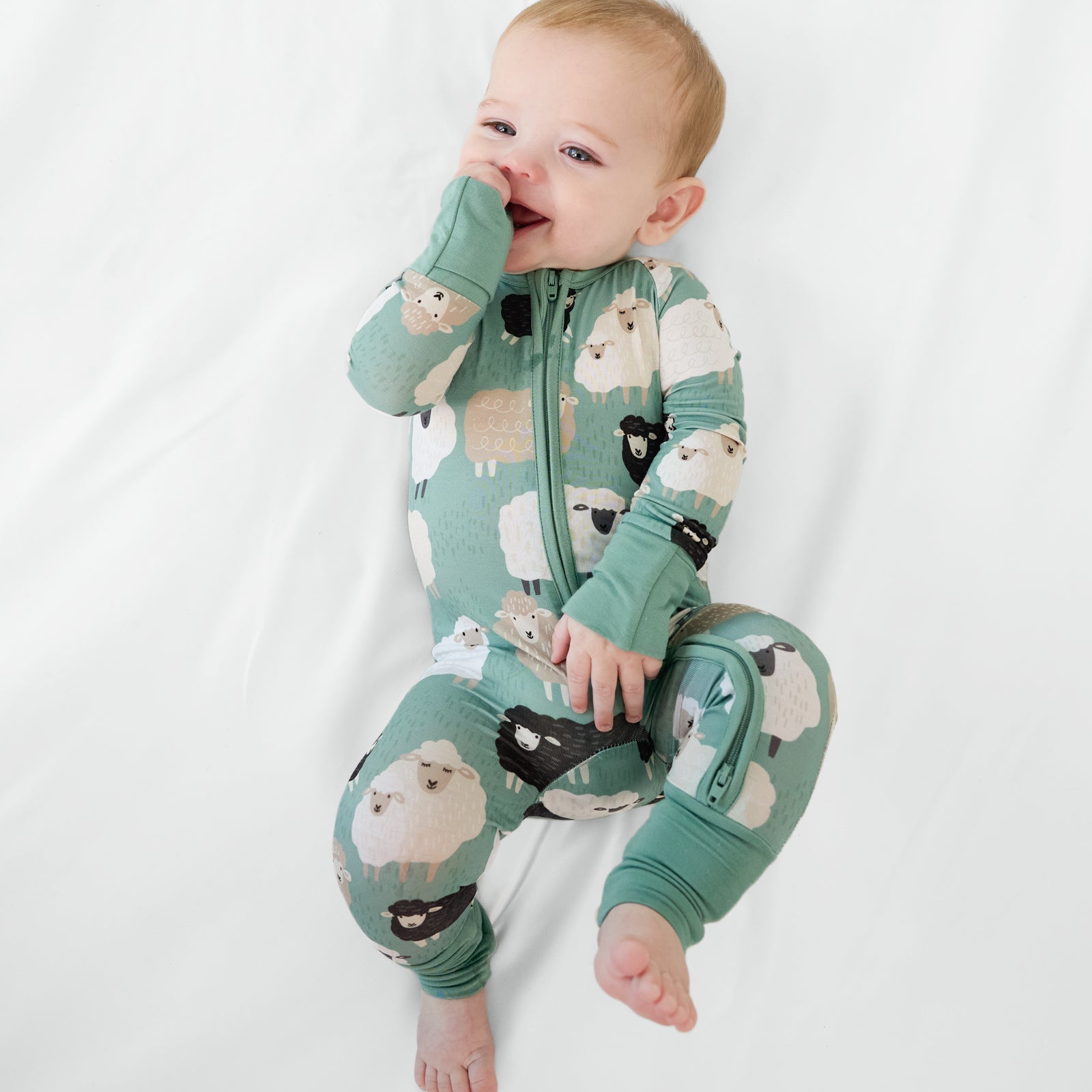 Little Sheepies Zippy、mySite、g9winljtr