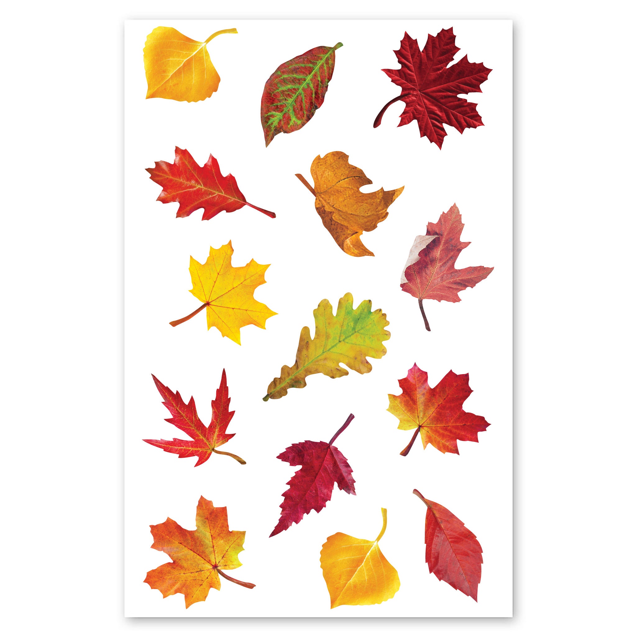  Falling Leaves Stickers、mySite、ghnorth