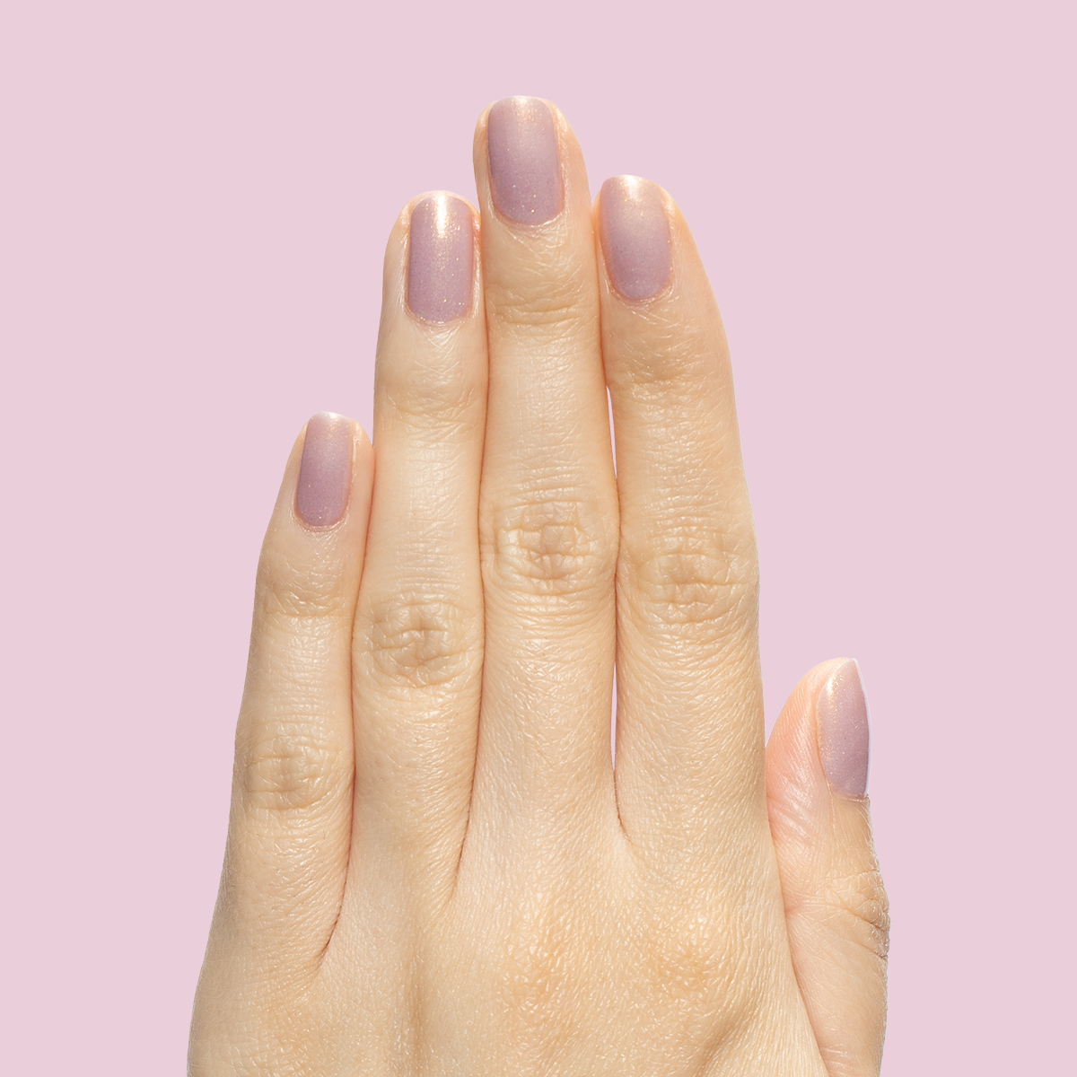 Star Baker、mySite、solidvoid