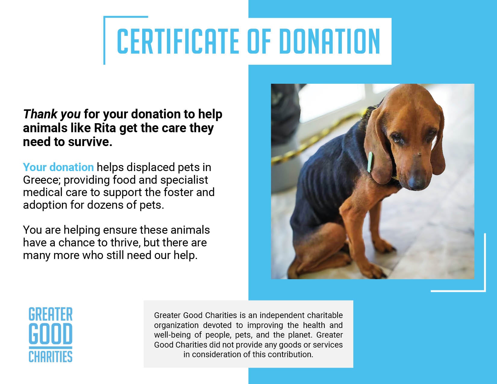 Funded: Help Sick Dog Found Barely Surviving in Pile of Garbage、mySite、camillekostekn