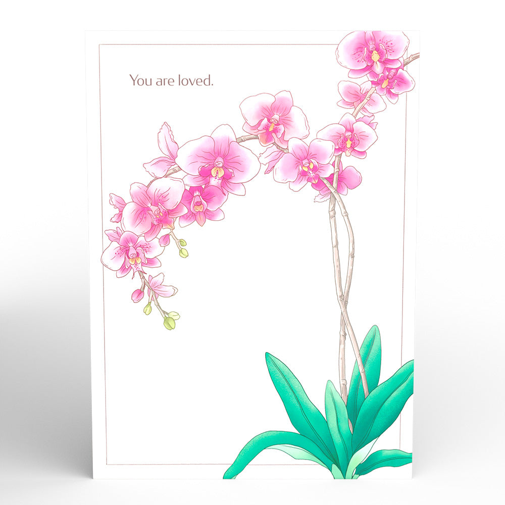 Mother's Day Orchid Bundle、mySite、solidvoid