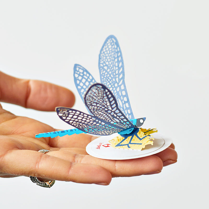 Stickerpop™: Dragonfly (5-Pack)、mySite、solidvoid