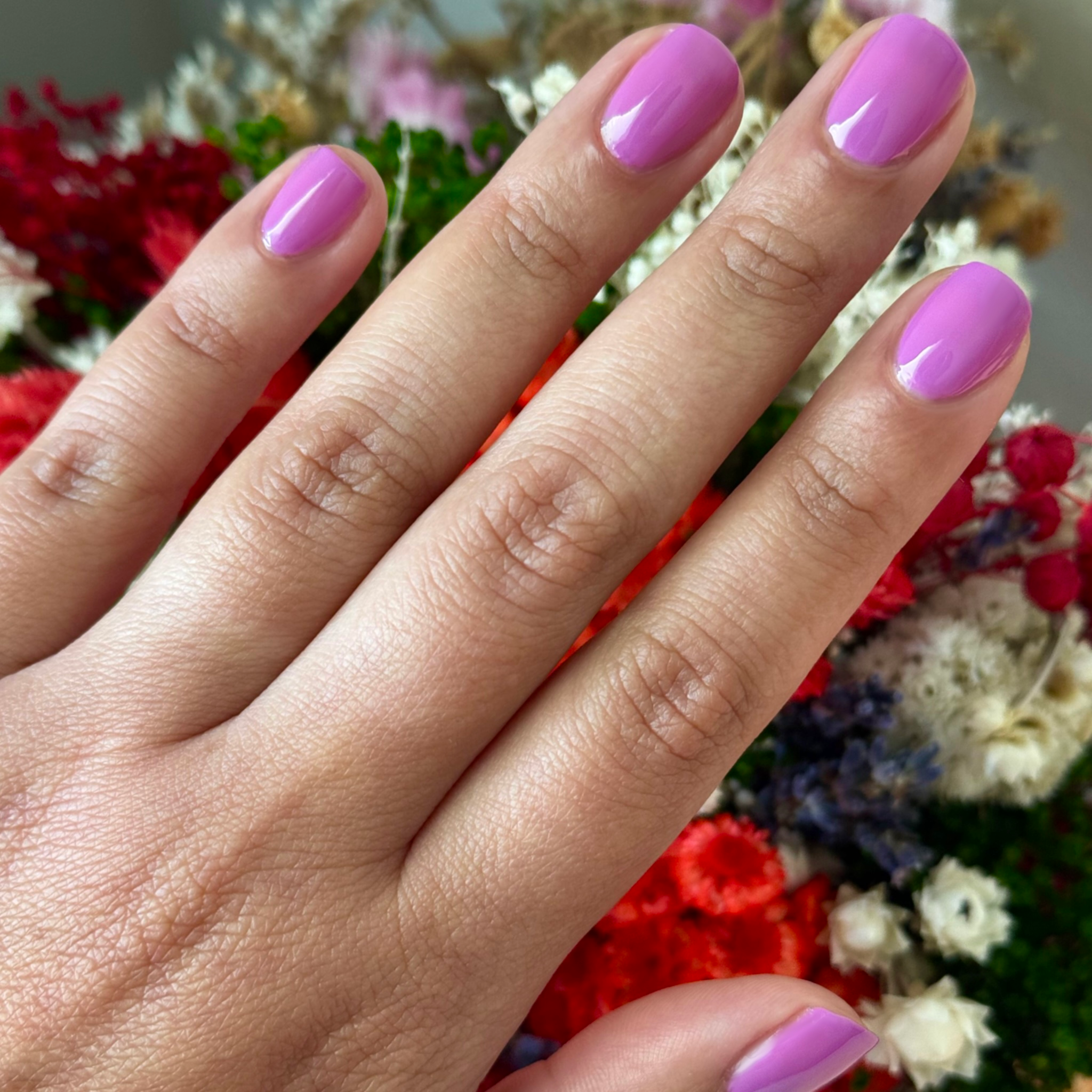 Petal、mySite、solidvoid