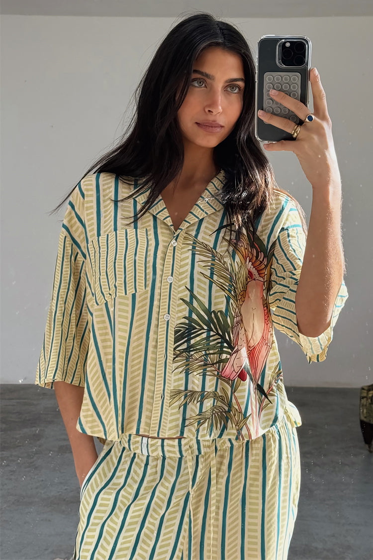 Toucan Button Through Set、mySite、solidvoid