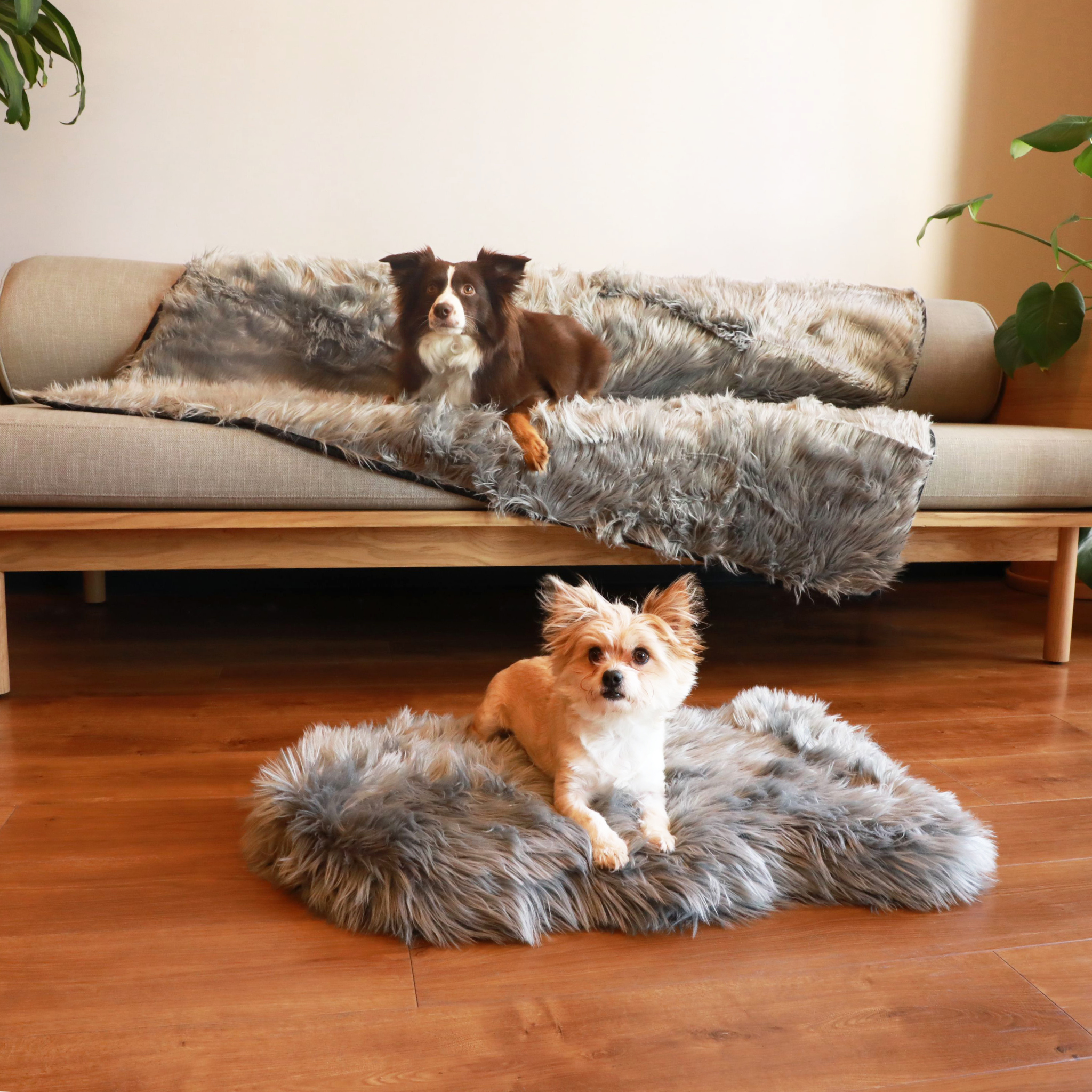 PupRug™ Orthopedic Bed + Matching Waterproof Blanket Bundle - Charcoal Grey、mySite、solidvoid