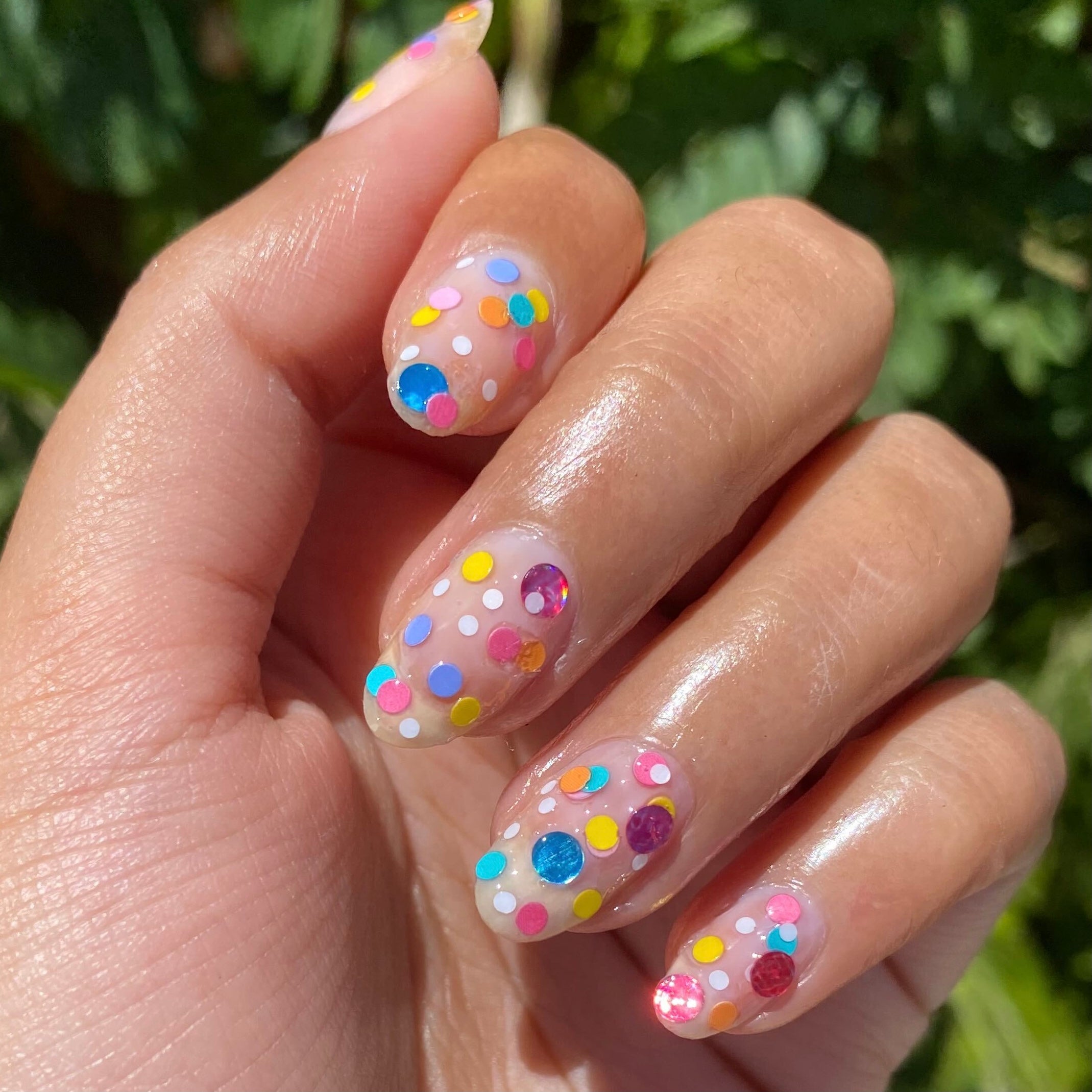 Sprinkle Cookie、mySite、solidvoid