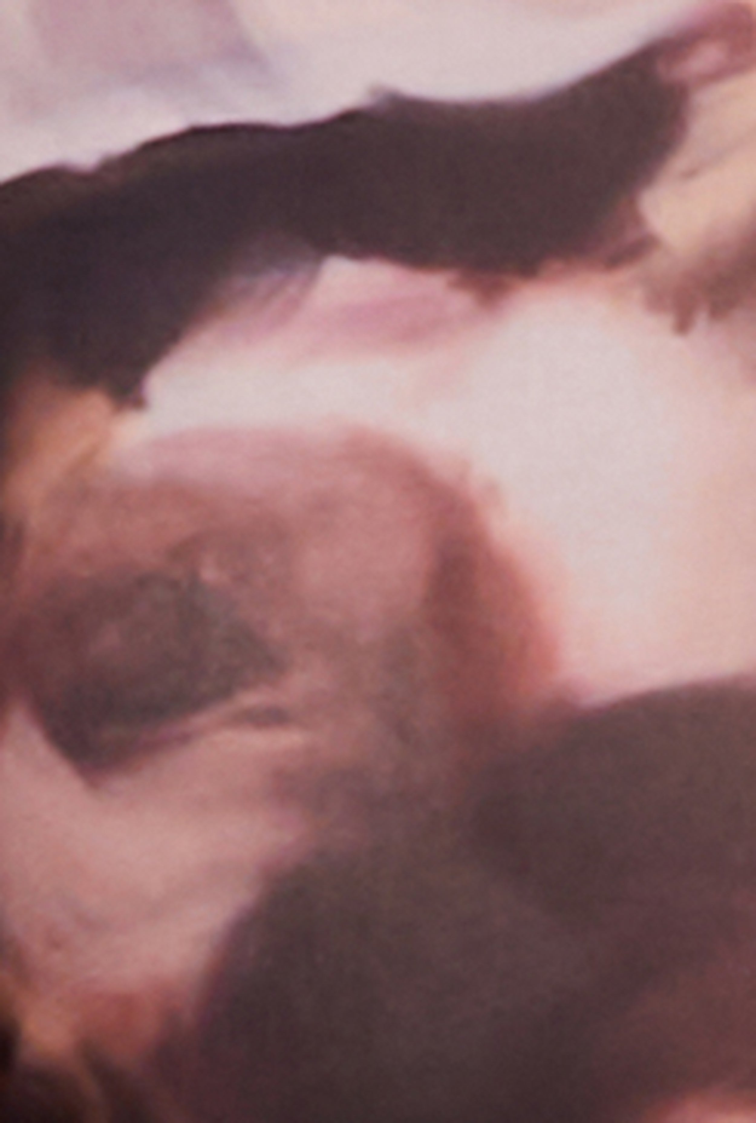 Floral Print Long Sleeve Mesh Top、mySite、camillekostekn