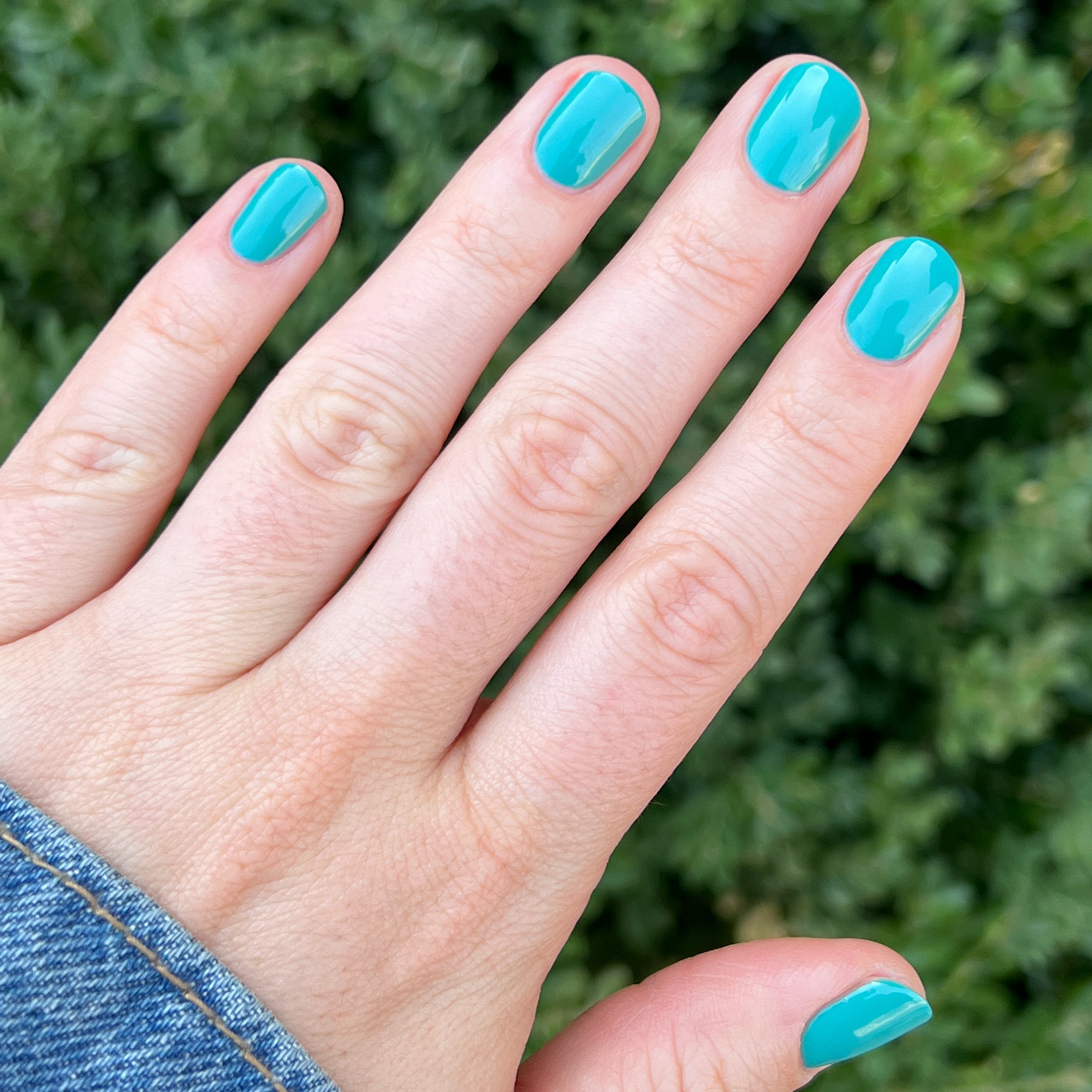 Green Canteen、mySite、solidvoid