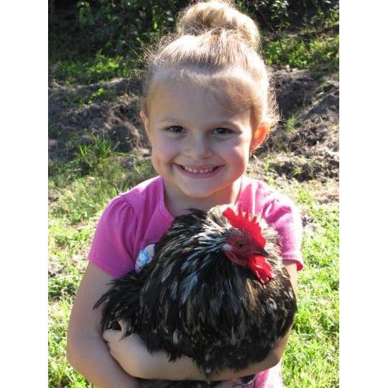 Give the GIFT of Compassion with a Rooterville Gift Card!、mySite、g9winljtr