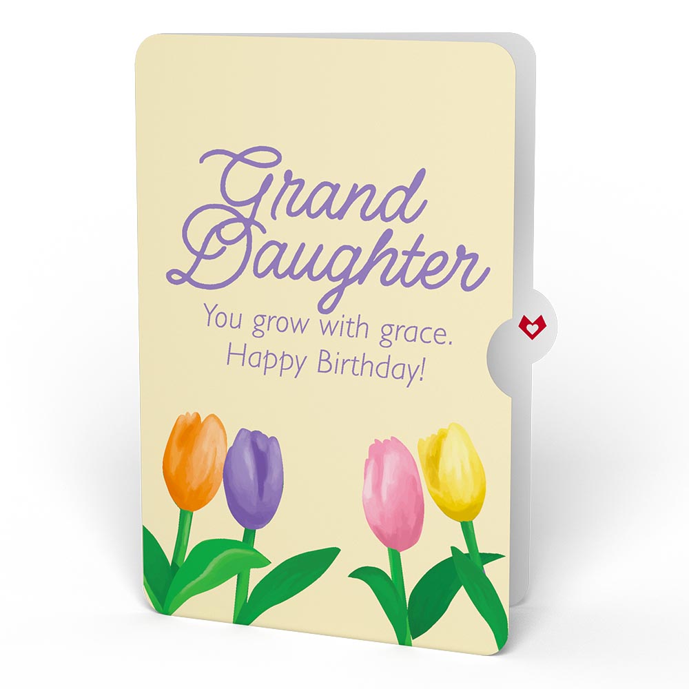 Tulips Birthday Pop-Up Card and Sentiment Set for Granddaughter、mySite、solidvoid