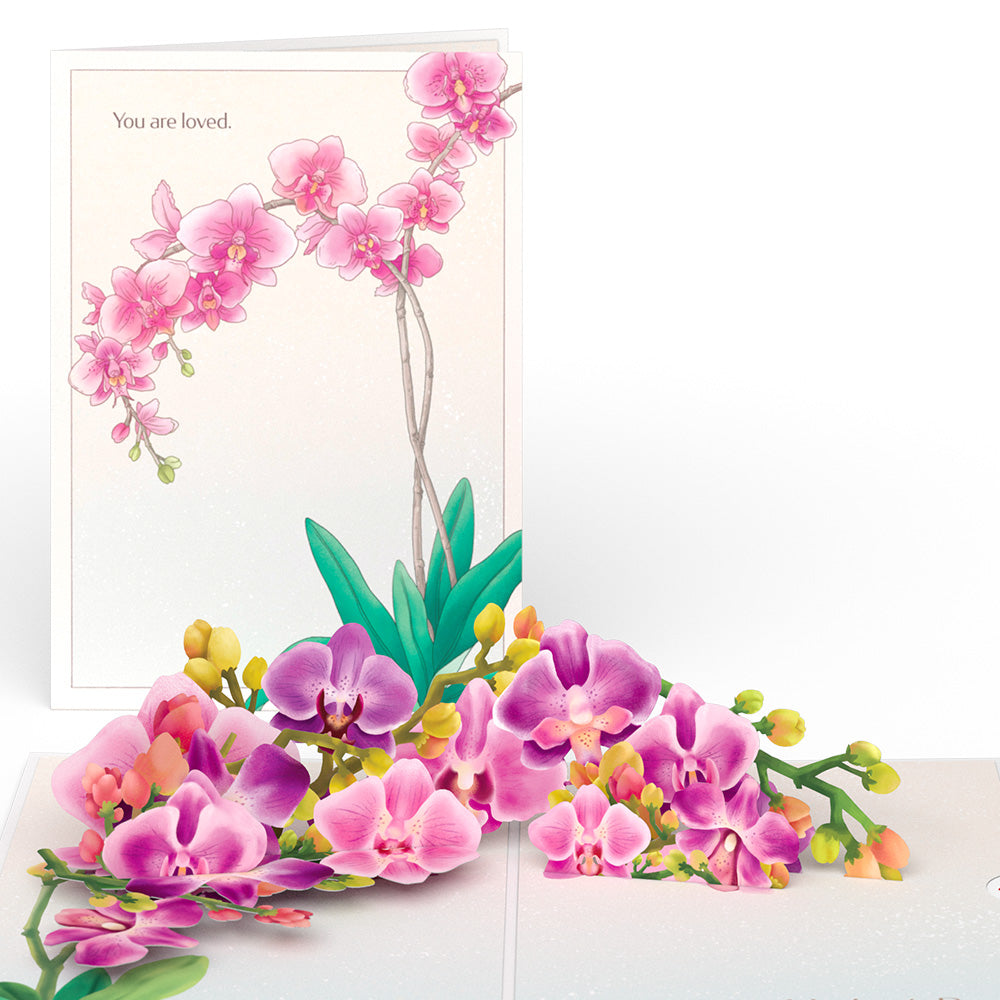 Mother's Day Orchid Pop-Up Card & Bouquet Bundle、mySite、solidvoid