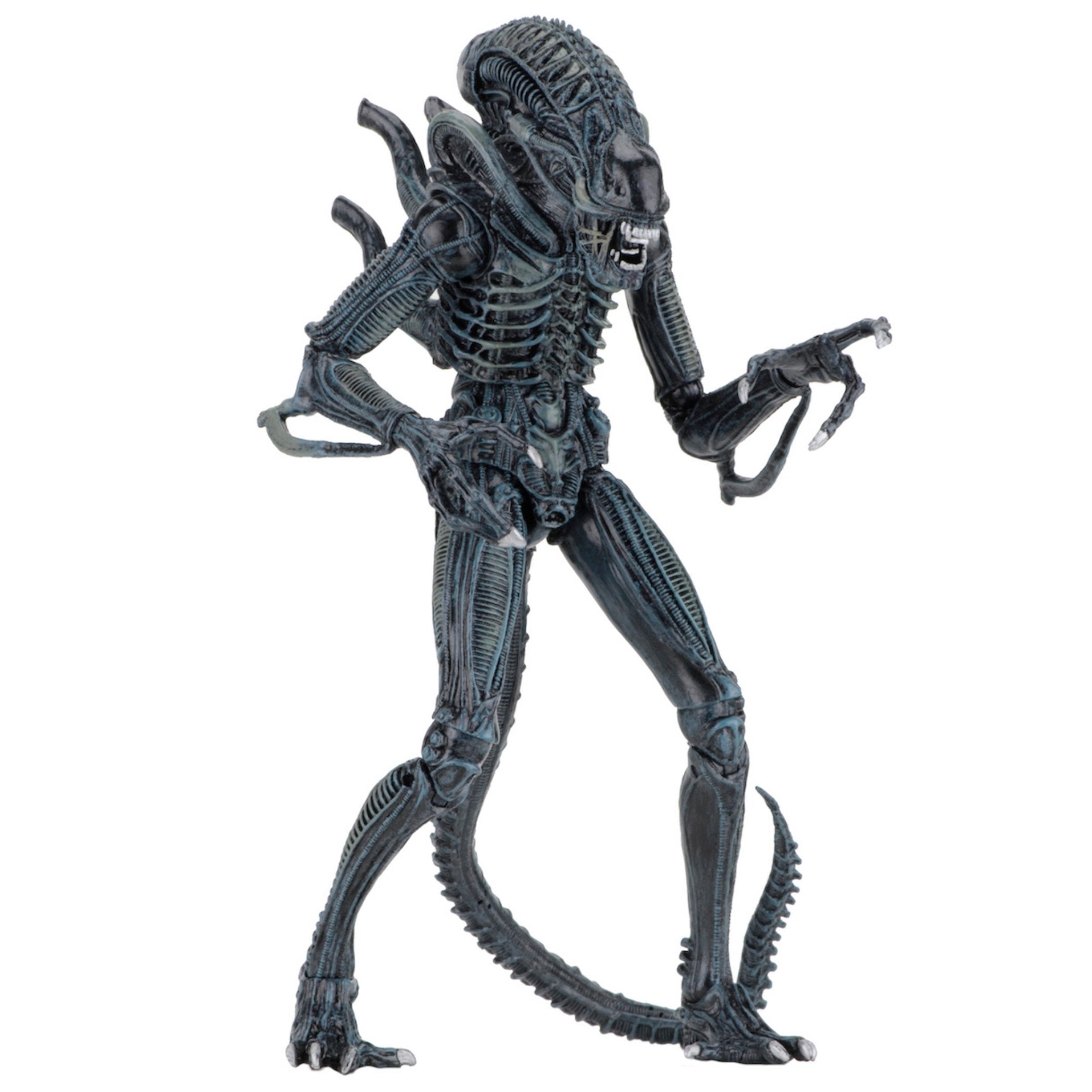 NECA Ultimate Aliens Warrior (Blue)、mySite、hgirdovlk