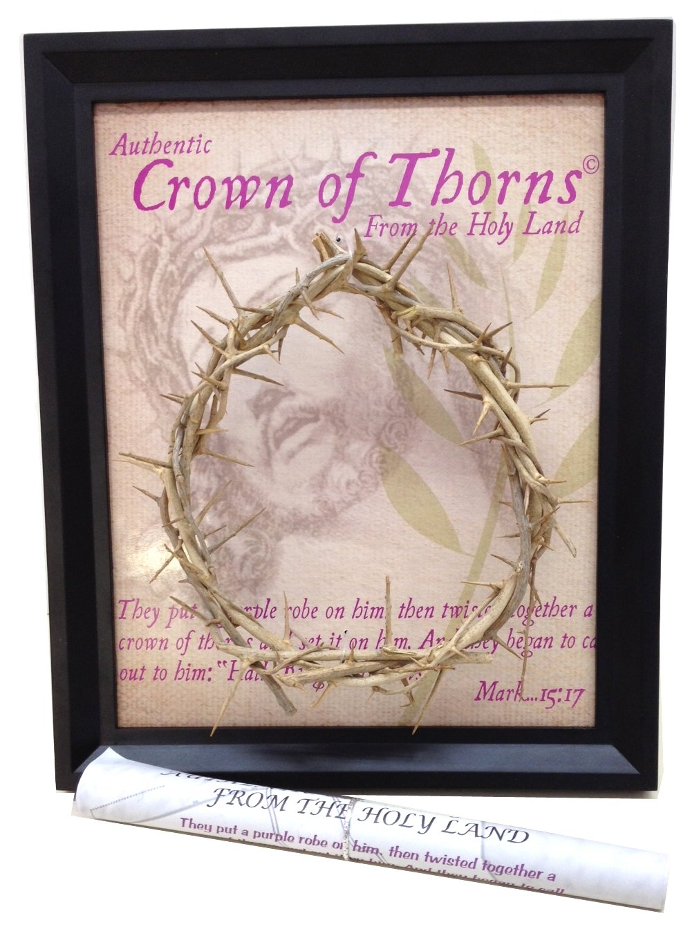  The Genuine and Authentic The Crown of Thorns (20.5x20.5cm OR 8x8) with Certificate、mySite、elrpsem3k