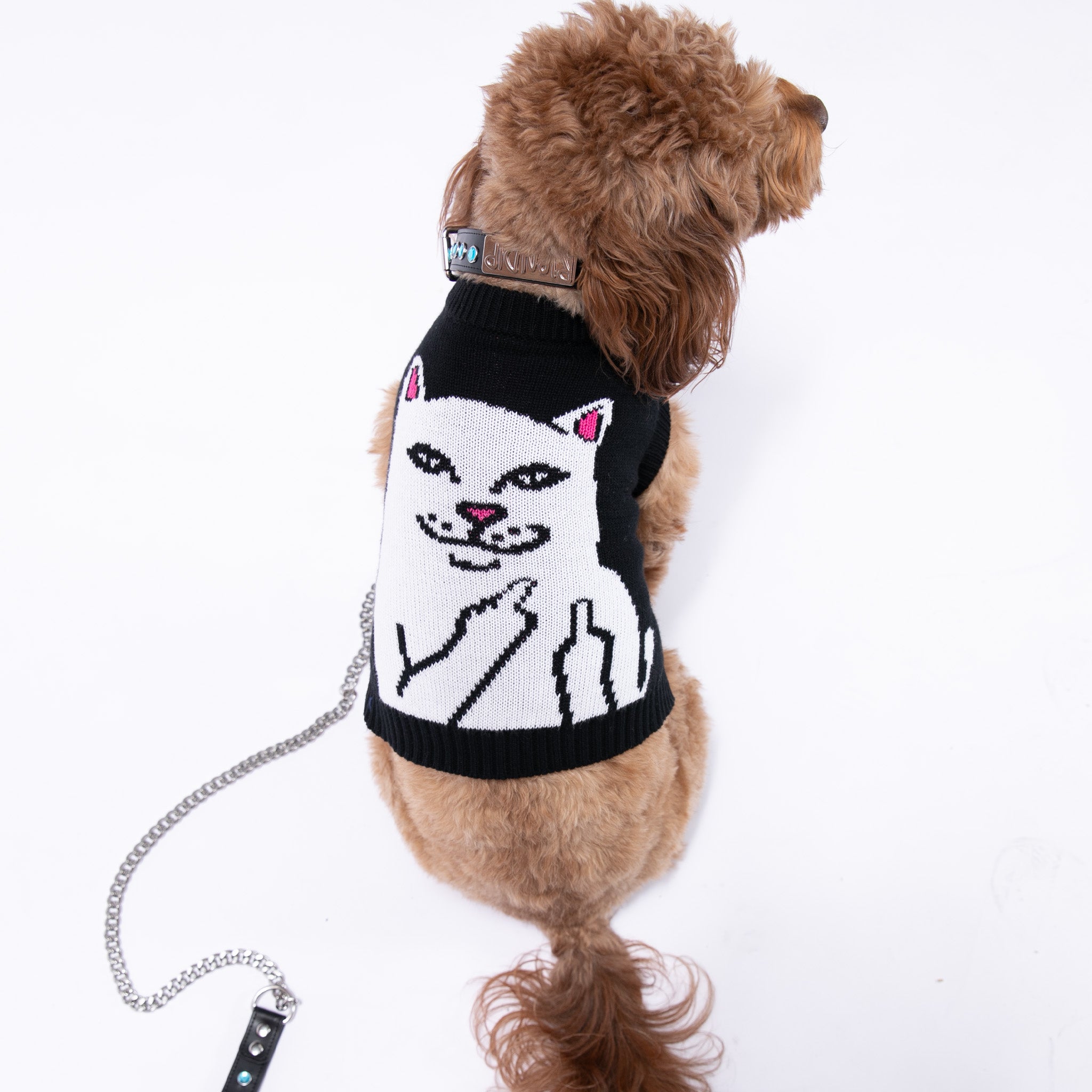  Lord Nermal Pet Knit Sweater Vest (Black)、mySite、merchandisen