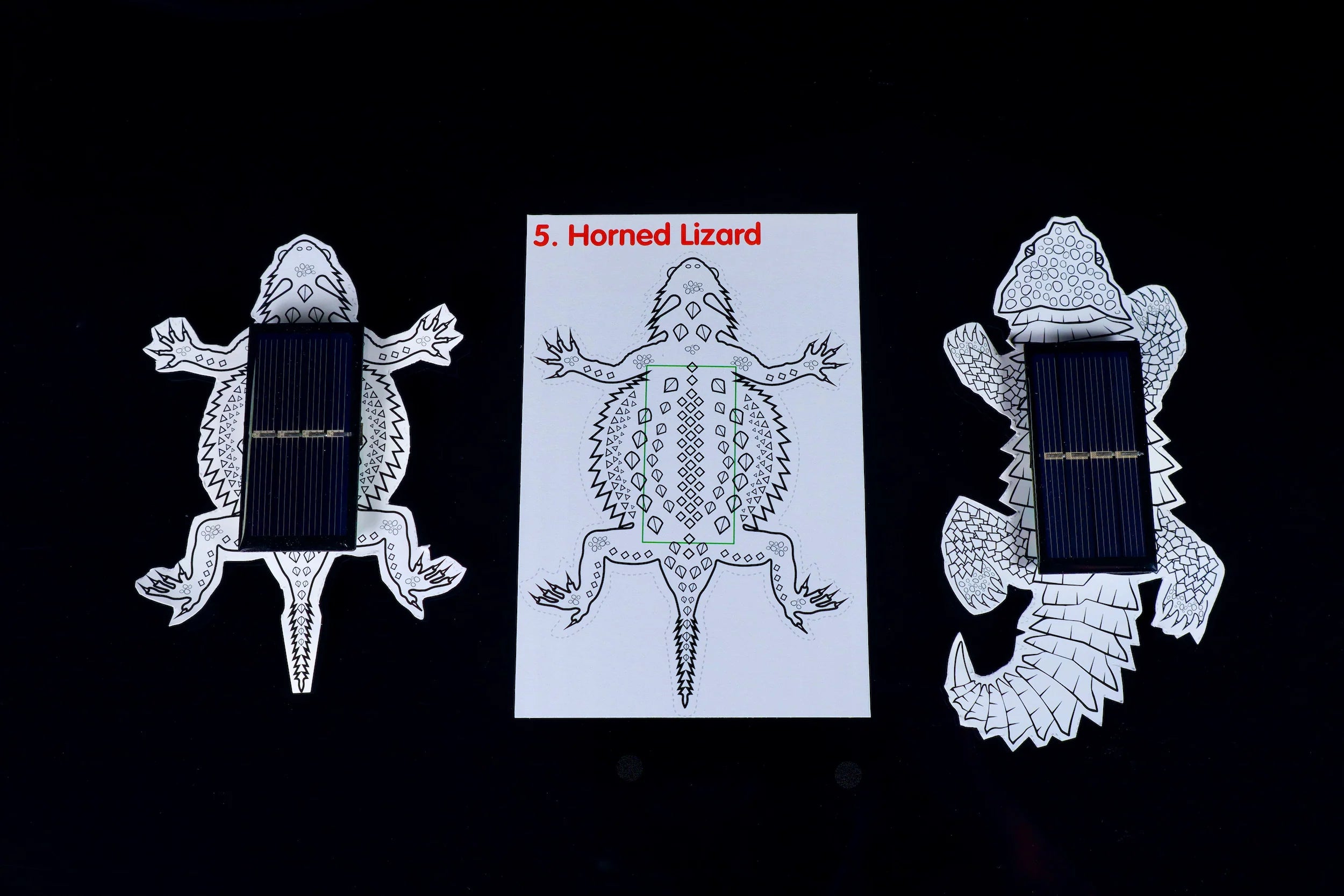 Solar Critters、mySite、lovesweatpilates