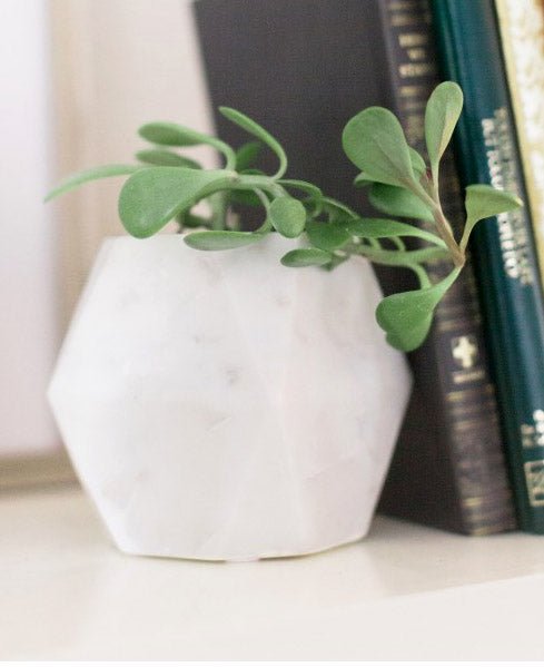 Handmade White Marble Vase / Planter、mySite、topwebapps