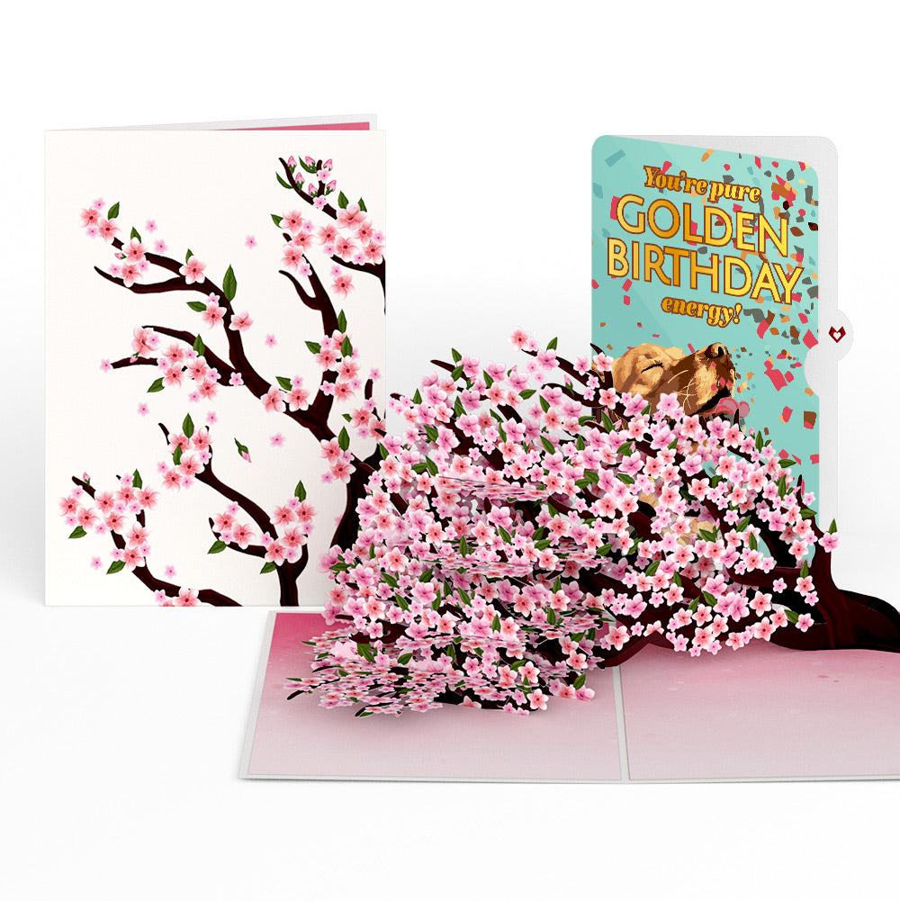 Cherry Blossom Branches in Bloom Birthday Pop-Up Card and Golden Energy Sentiment Set、mySite、solidvoid