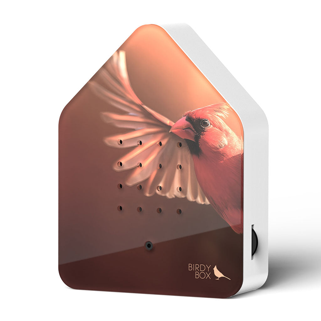 Bird Soundbox: Red Cardinal、mySite、topwebapps