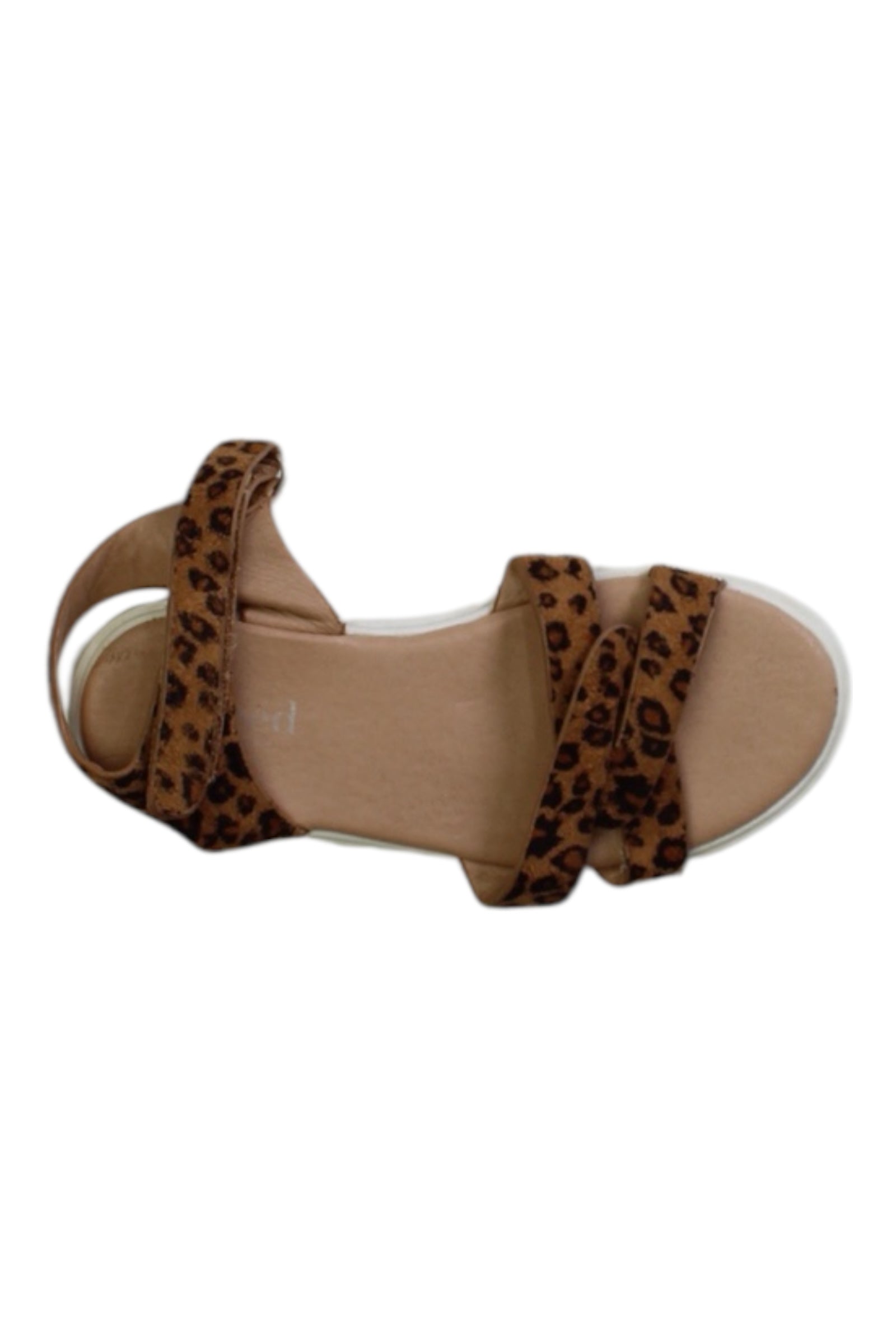 Seed Animal Print Sandal EU28、mySite、g9winljtr