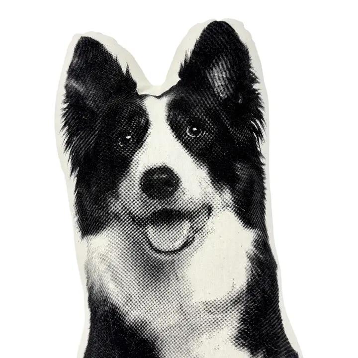 Border Collie Pillow、mySite、g9winljtr