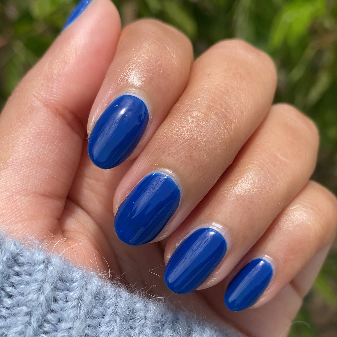 Blueberry Muffin、mySite、solidvoid