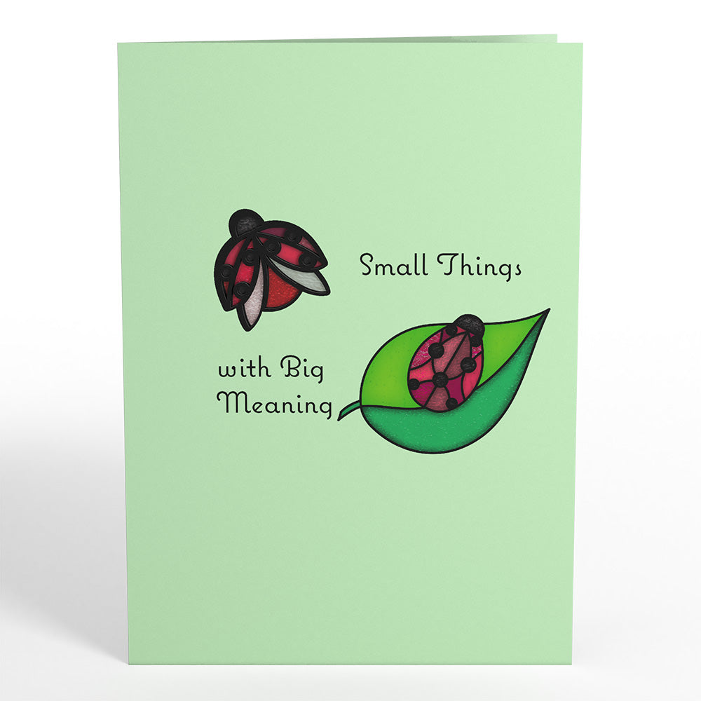 Small Things with Big Meaning Ladybug Suncatcher Card、mySite、solidvoid