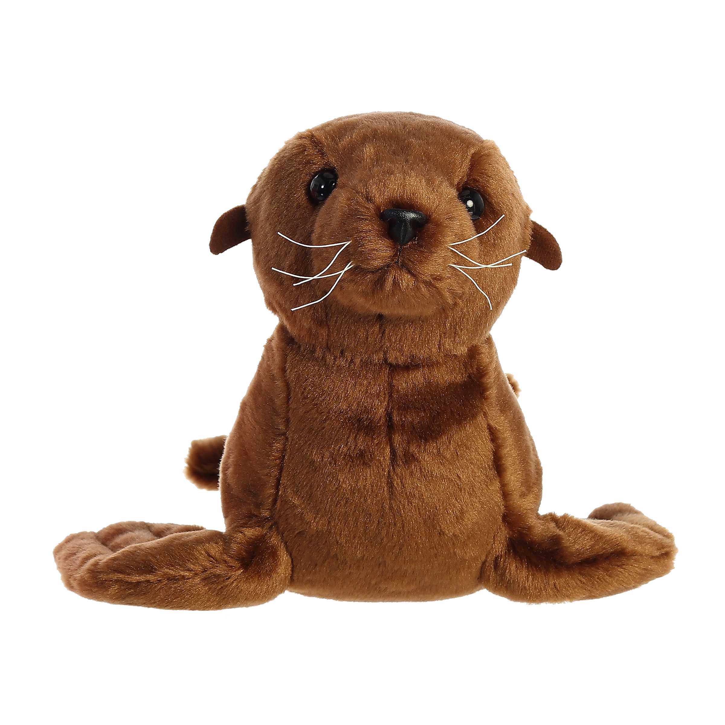 Aurora® - Destination Nation™ - 13 Sea Lion、mySite、g9winljtr