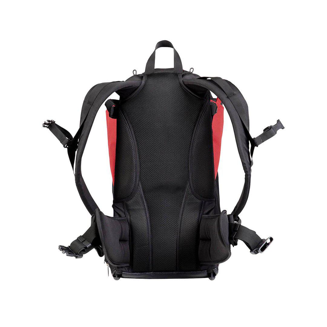  Phil & Teds Parade Baby Carrier - Chilli、mySite、merchandisen