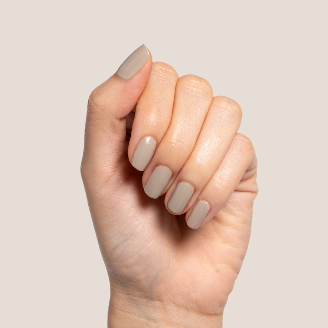 Koala、mySite、solidvoid