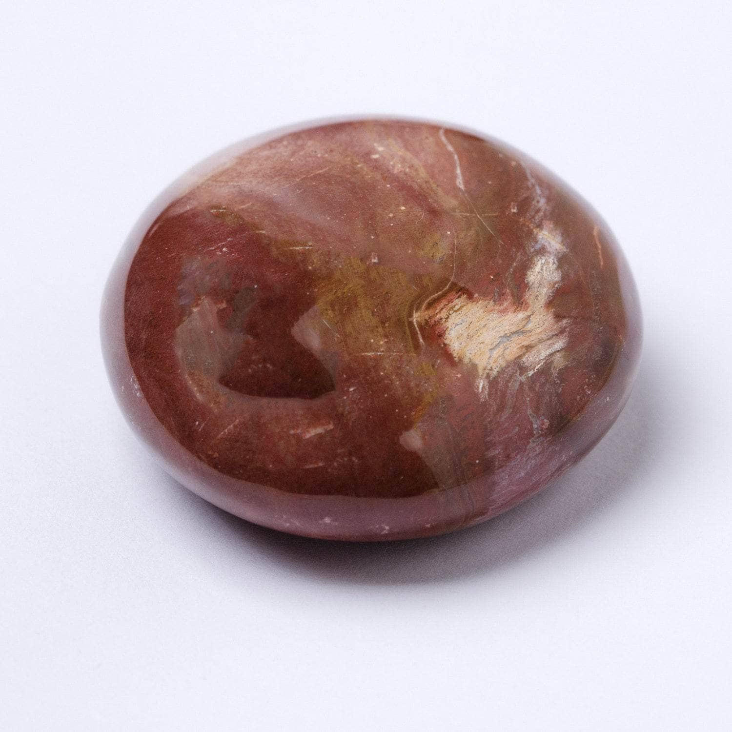 Petrified Wood Palm Stones - AAA Premium Quality、mySite、hinf8tx79