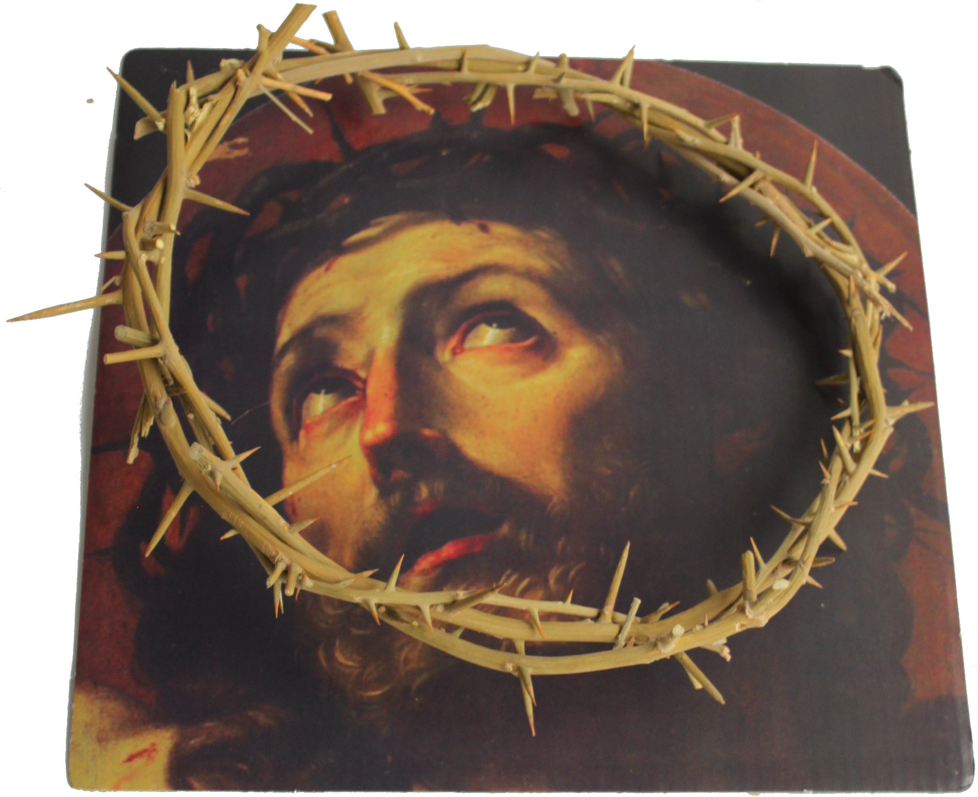  Crown of Thorns/Authentic Crown of Thorns from The Holy Land - in Gift Box、mySite、elrpsem3k