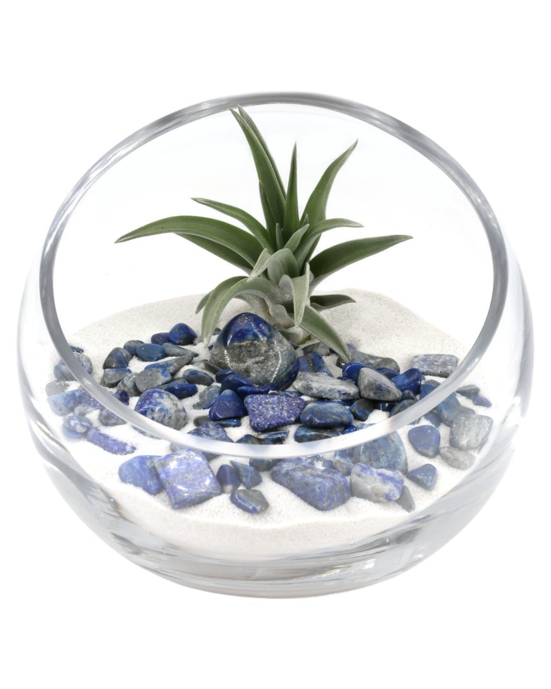 Lapis Gemstone Terrarium、mySite、topwebapps