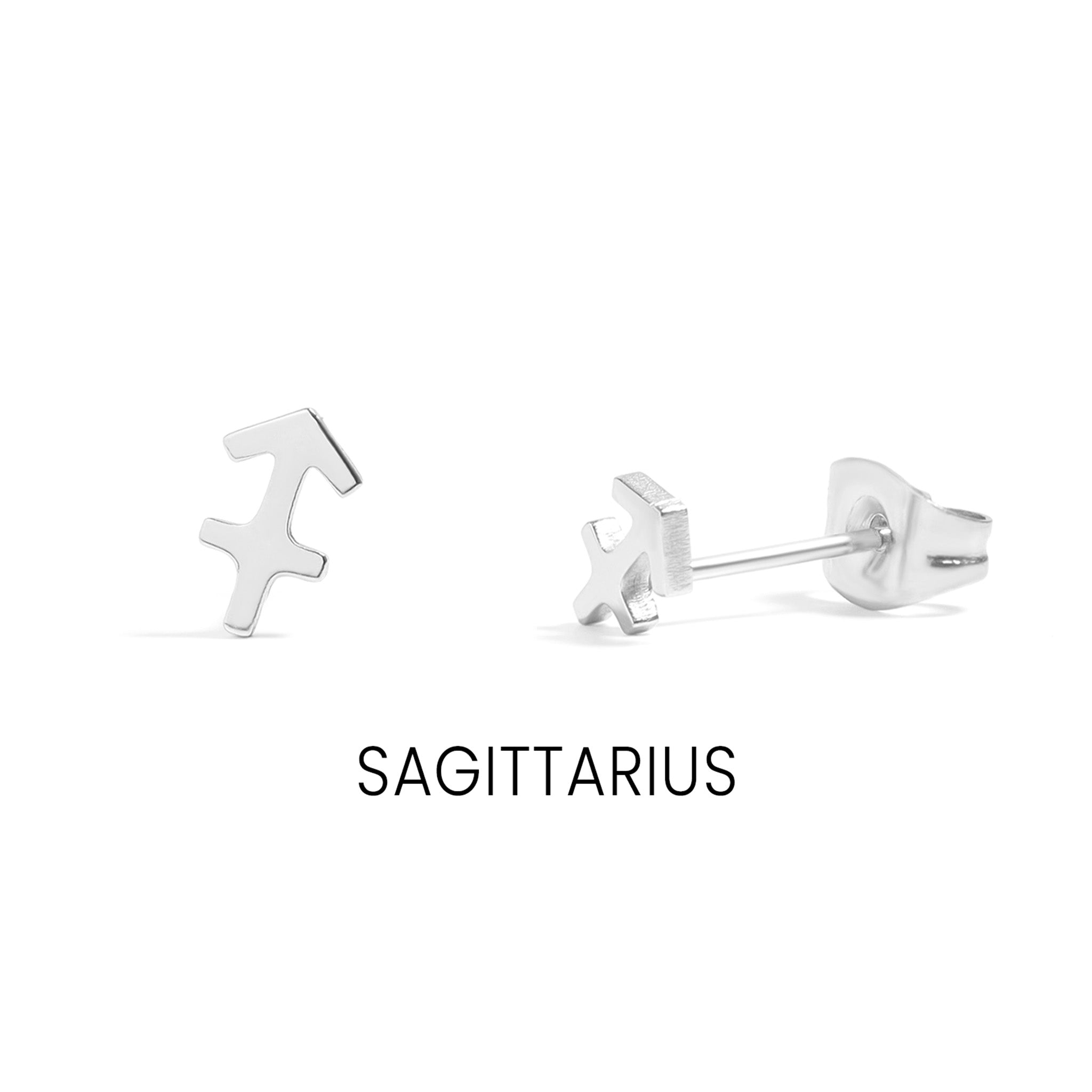 18K Gold PVD Stainless Steel Zodiac Stud Earrings / ERJ0059、mySite、dreamappss