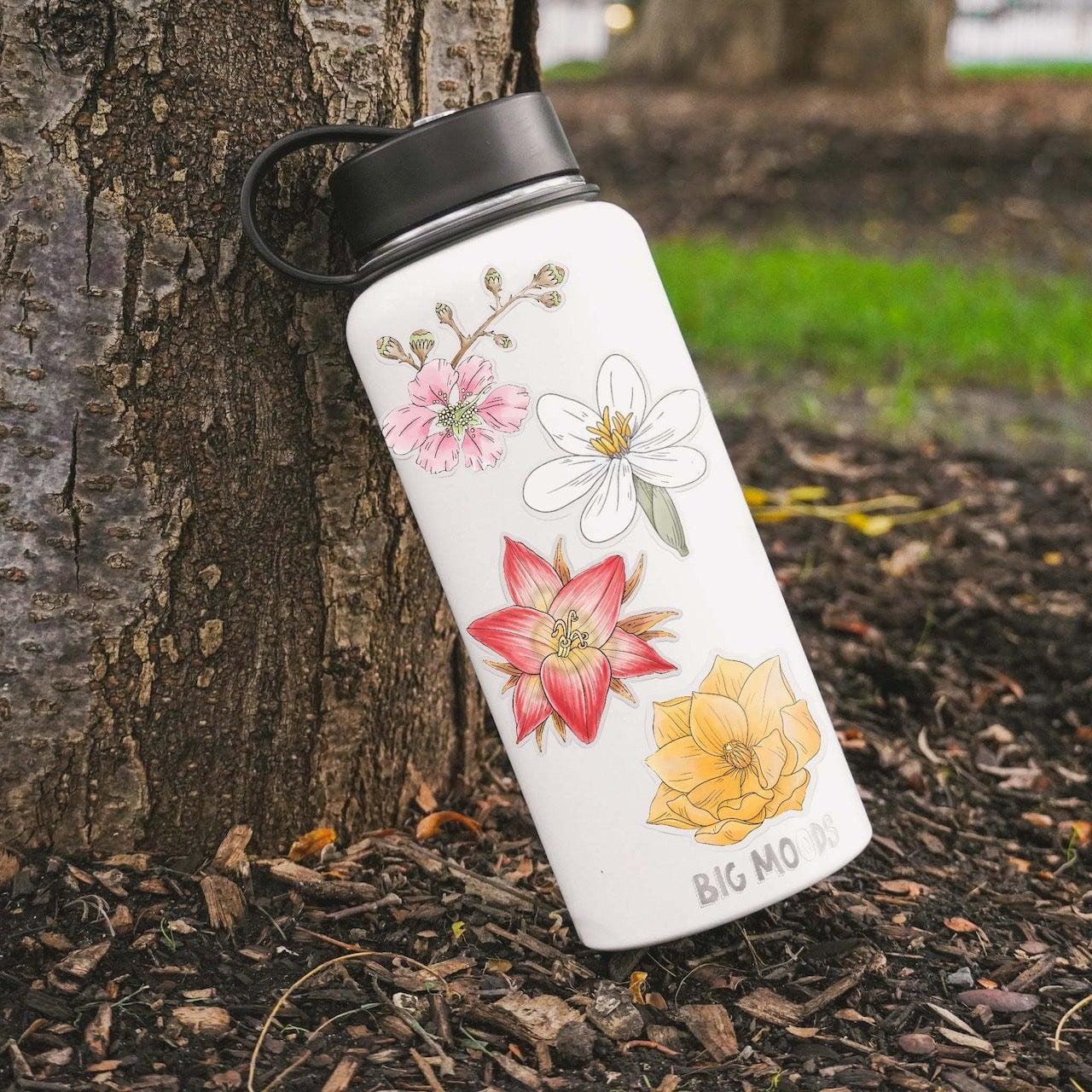  Botanical Clear Stickers 10 Pack、mySite、elrpsem3k