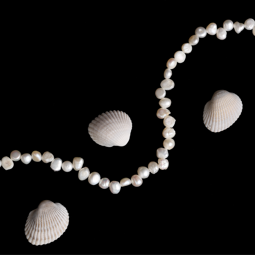 Sunseeker Choker、mySite、hinf8tx79