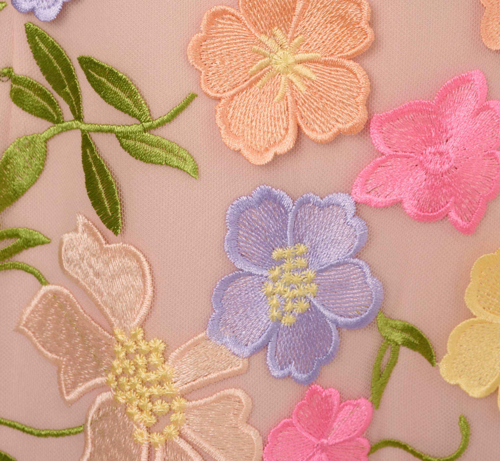 Floral Embroidered Flounce Dress With Sheer Short Sleeves In Nude Multi、mySite、solidvoid