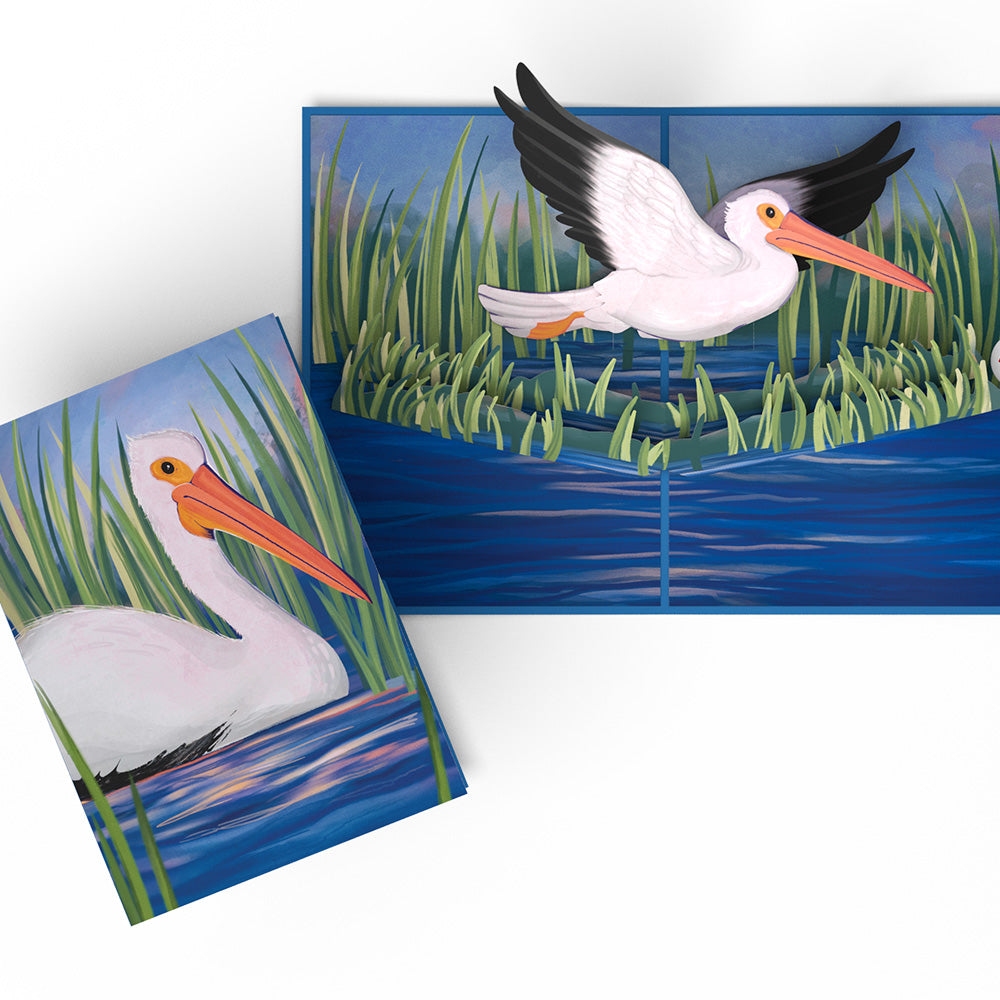 Pelican in the Marsh Pop-Up Card、mySite、solidvoid