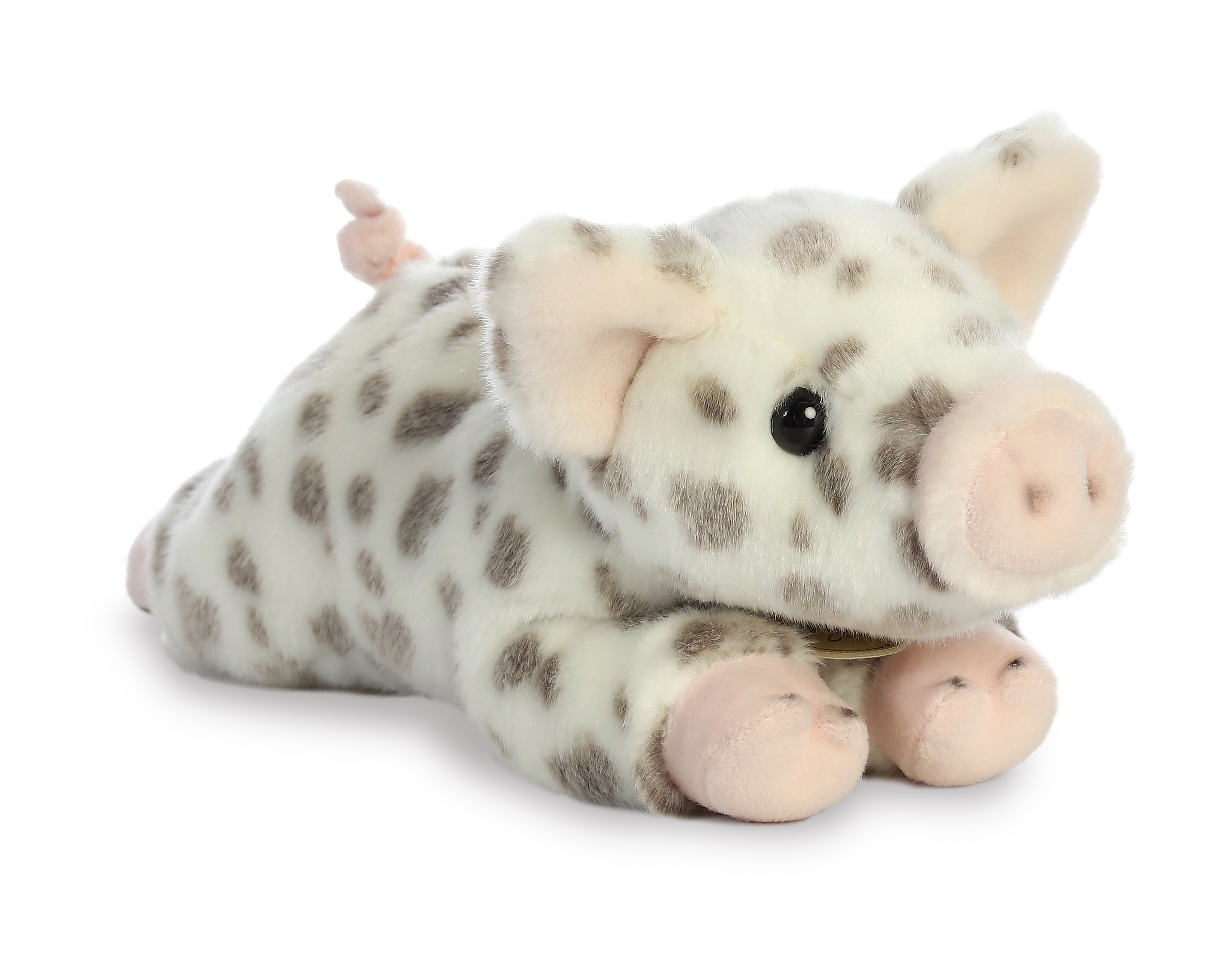 Aurora® - Miyoni® - Spotted Piglet、mySite、g9winljtr