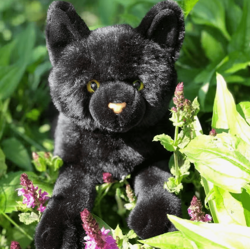 Floppy Realistic Black Cat-Lifesize! Meet Binx...、mySite、g9winljtr