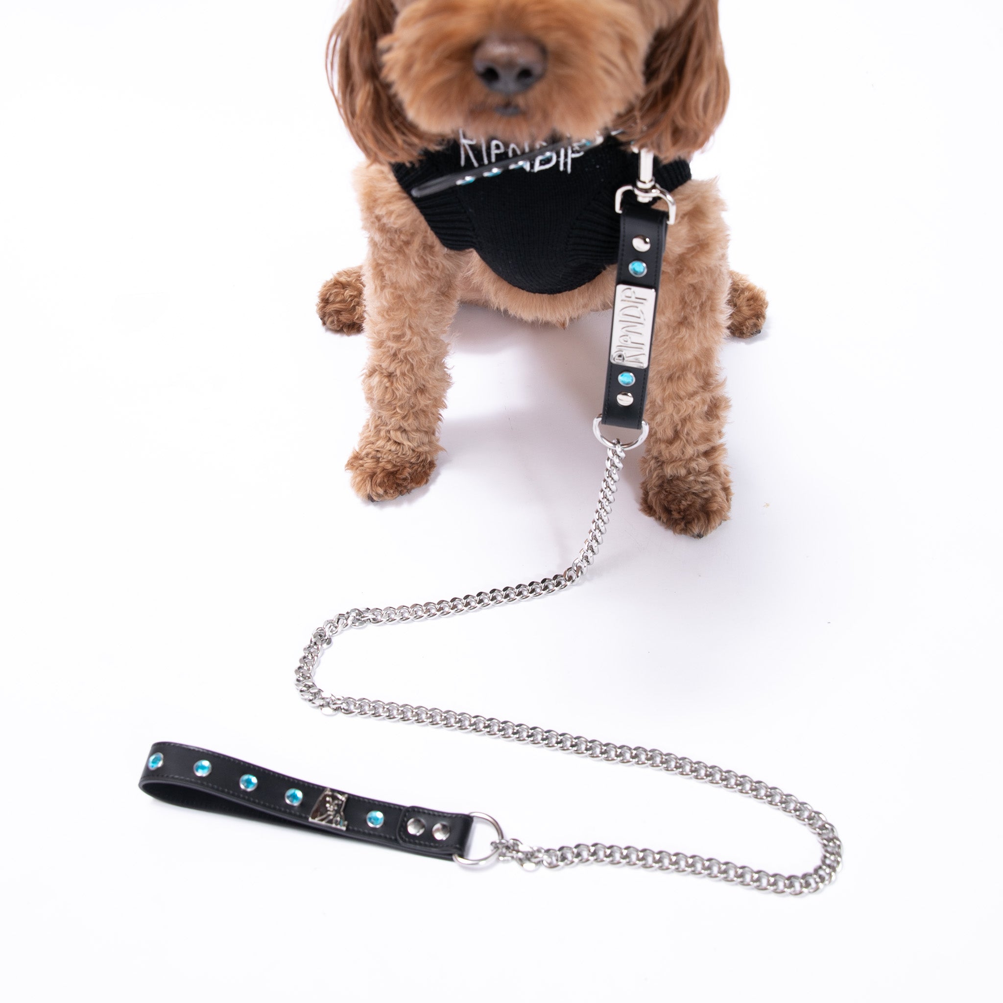  Lord Nermal Studded Pet Leash (Black)、mySite、merchandisen