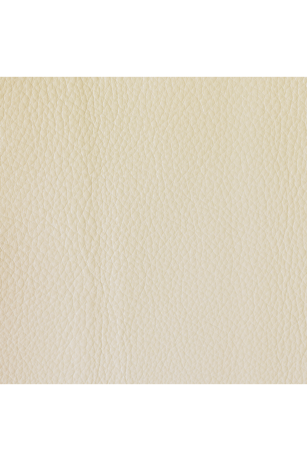 Tiger Maple Desk | Caracole Letters From Home、mySite、neckold