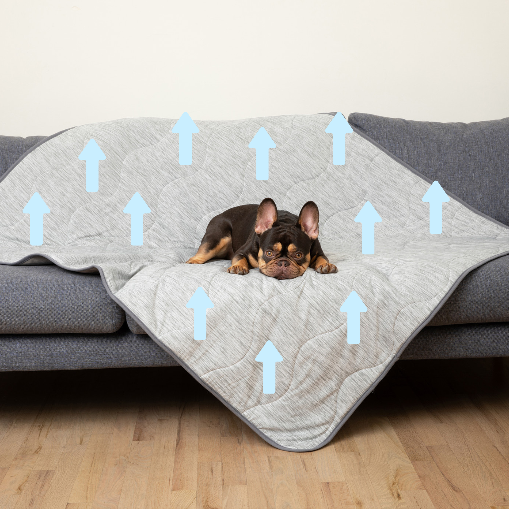 PupChill™ Cooling Waterproof Blanket - Arctic Grey、mySite、solidvoid