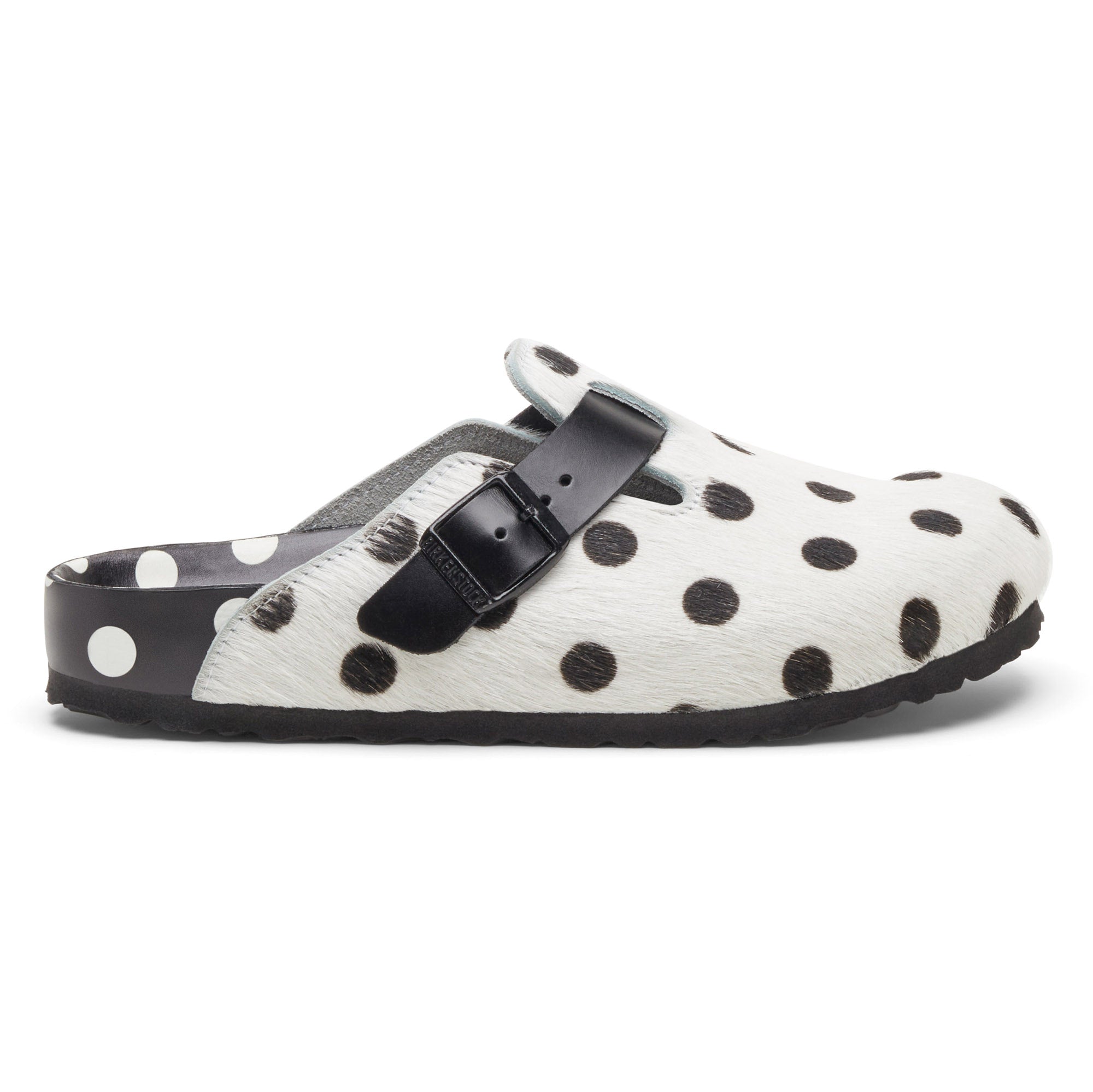 Boston Manolo Polka Dots、mySite、gtrtttuynbv