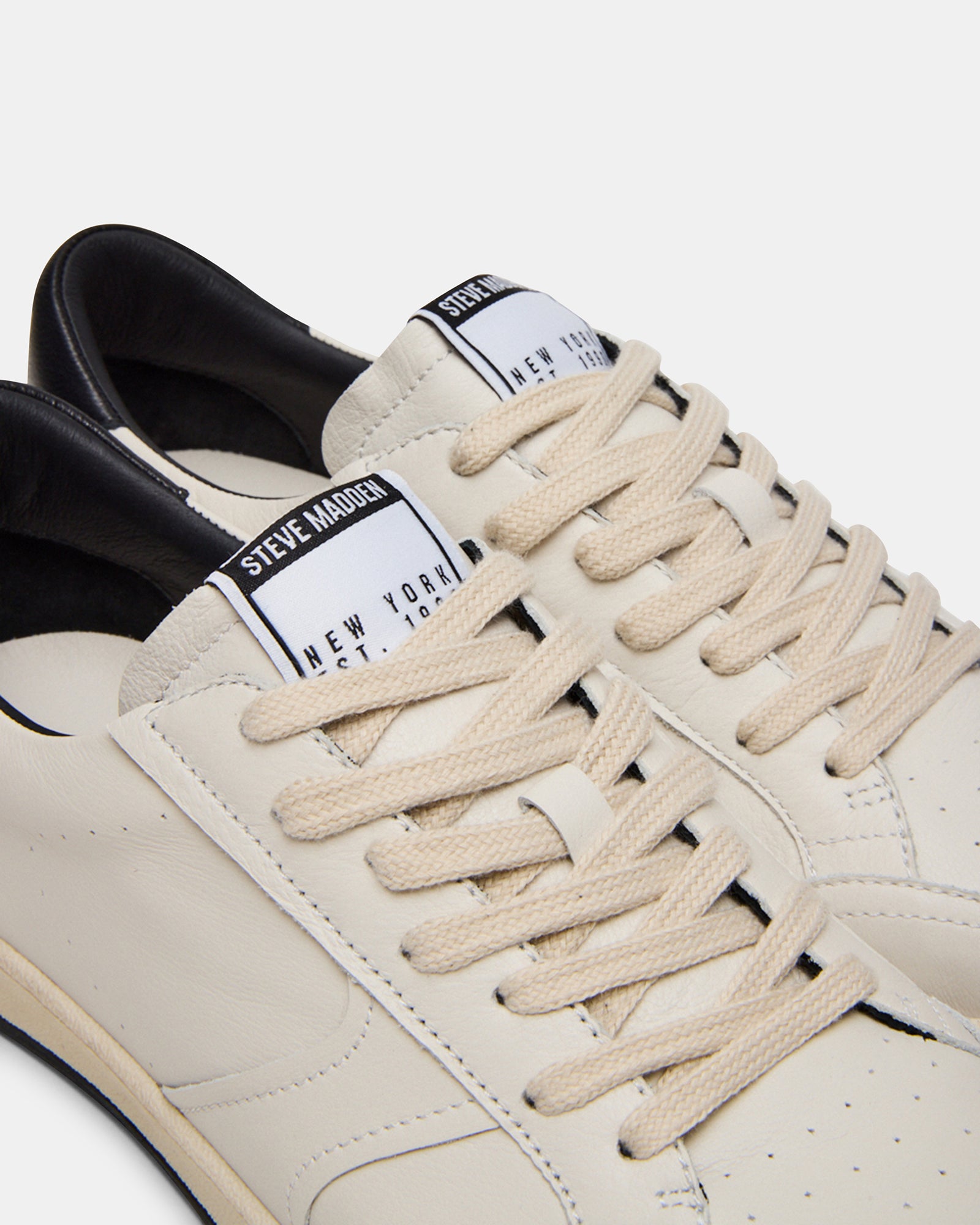 PRISMO BLACK MULTI、mySite、gtrtttuynbv