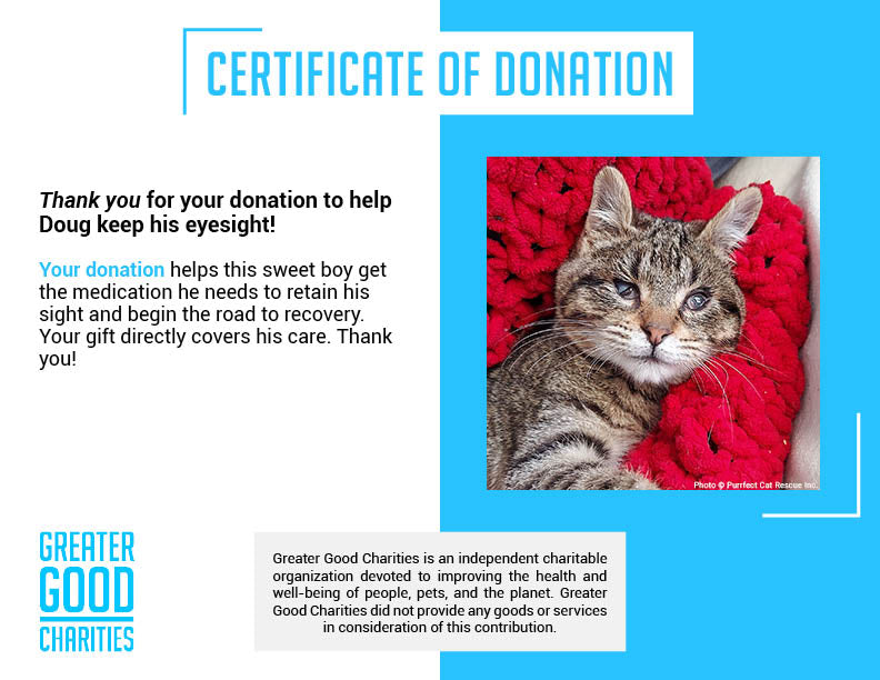 Funded - Help Doug Keep His Sight、mySite、camillekostekn