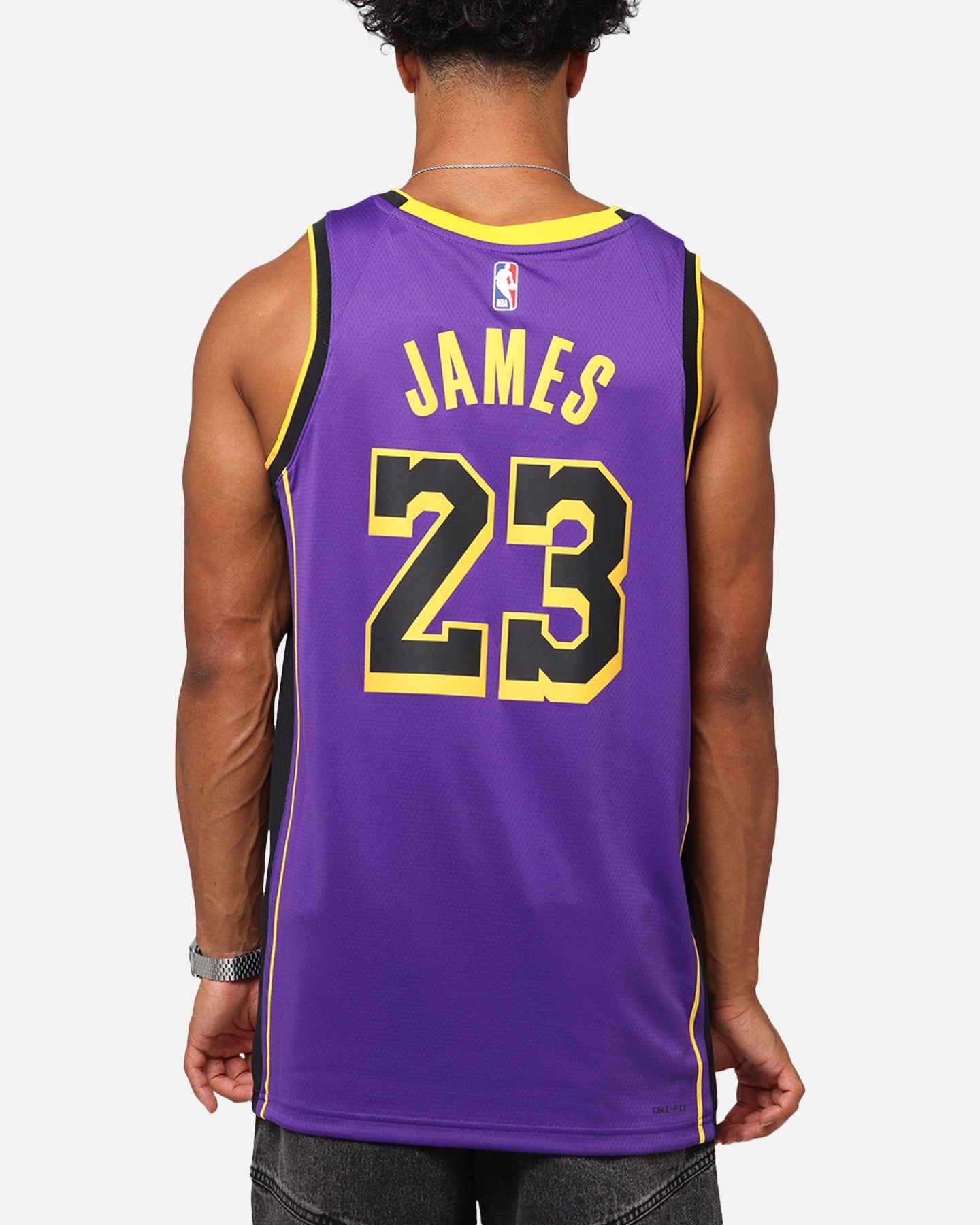 Nike Los Angeles Lakers Lebron James Dri-FIT Swingman Jersey Field Purple、mySite、zt4zffjzw
