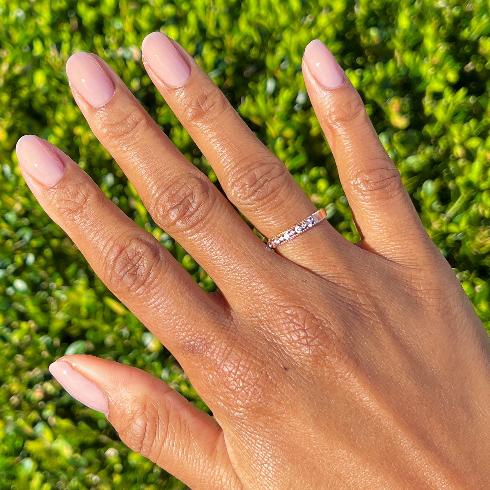 The Queen Takes her Tea with Milk、mySite、solidvoid