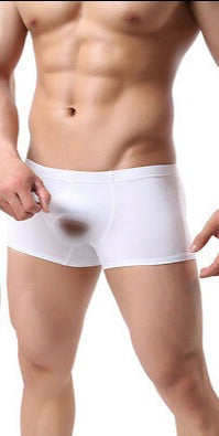 Come Closer Erection Briefs | Ice Silk | White | Pouch、mySite、bottomscart